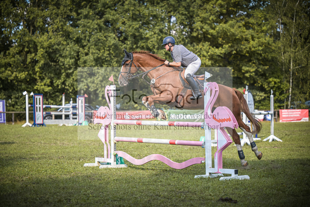 DOS_1379 | Entdecke hochwertige Reitturnierfotos von Foto Oger. Professionell, emotional und authentisch – jetzt Lieblingsmomente im Shop bestellen.Deutschlandweite Turnierfotografie. - Realisiert mit Pictrs.com
