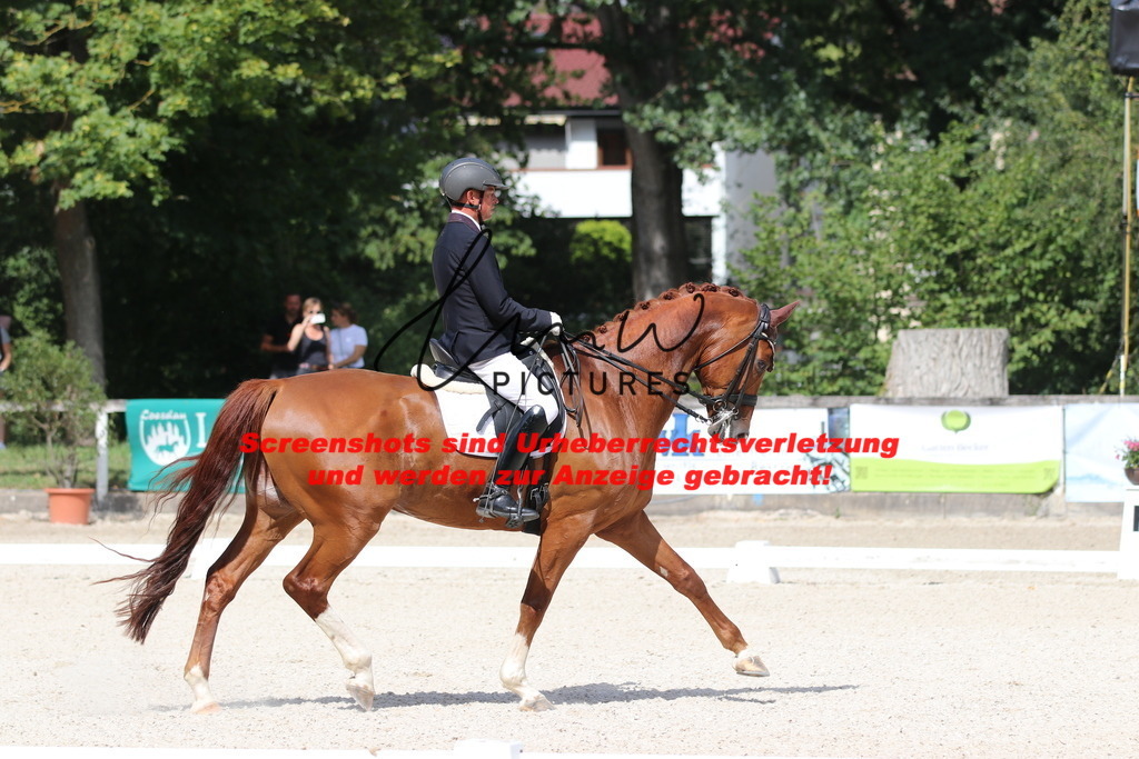 IMG_5353 | lmwpictures - Realisiert mit Pictrs.com