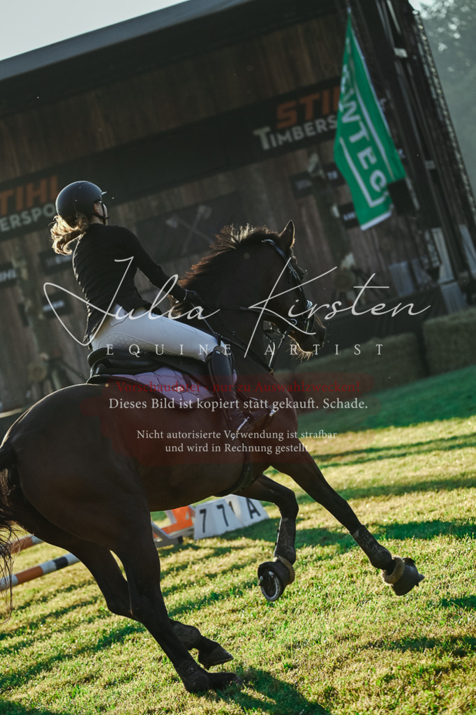 DSC_3785 | Pferde- und Turnierfotografie in Westsachsen. Pferdeportraits, Auftragszeichnungen und intuitive Kunst.