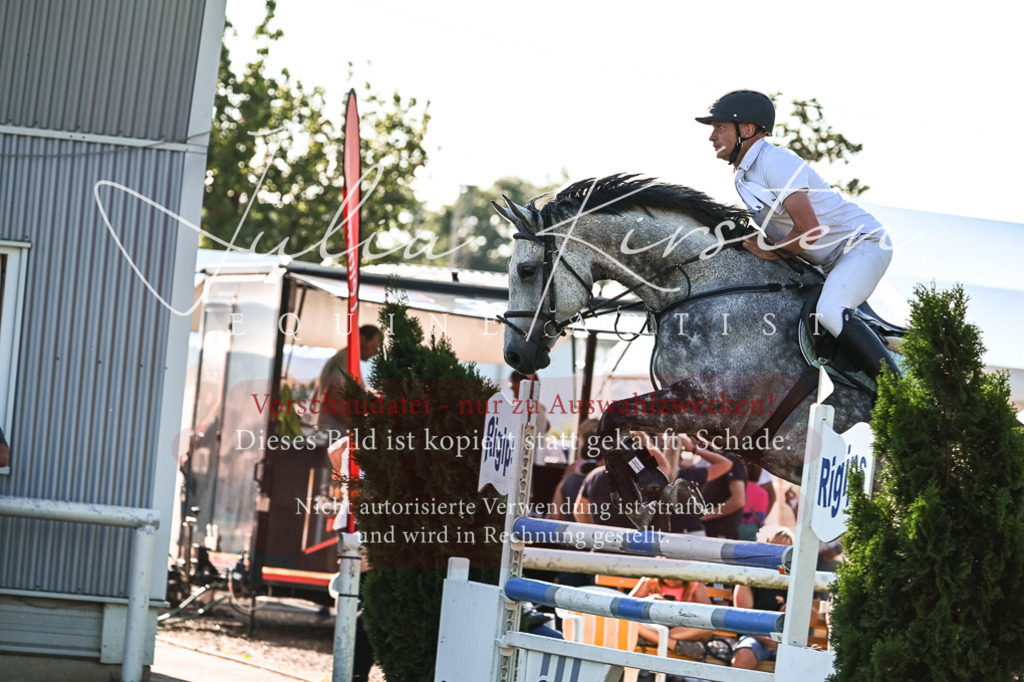 DSC_2652 | Pferde- und Turnierfotografie in Westsachsen. Pferdeportraits, Auftragszeichnungen und intuitive Kunst.