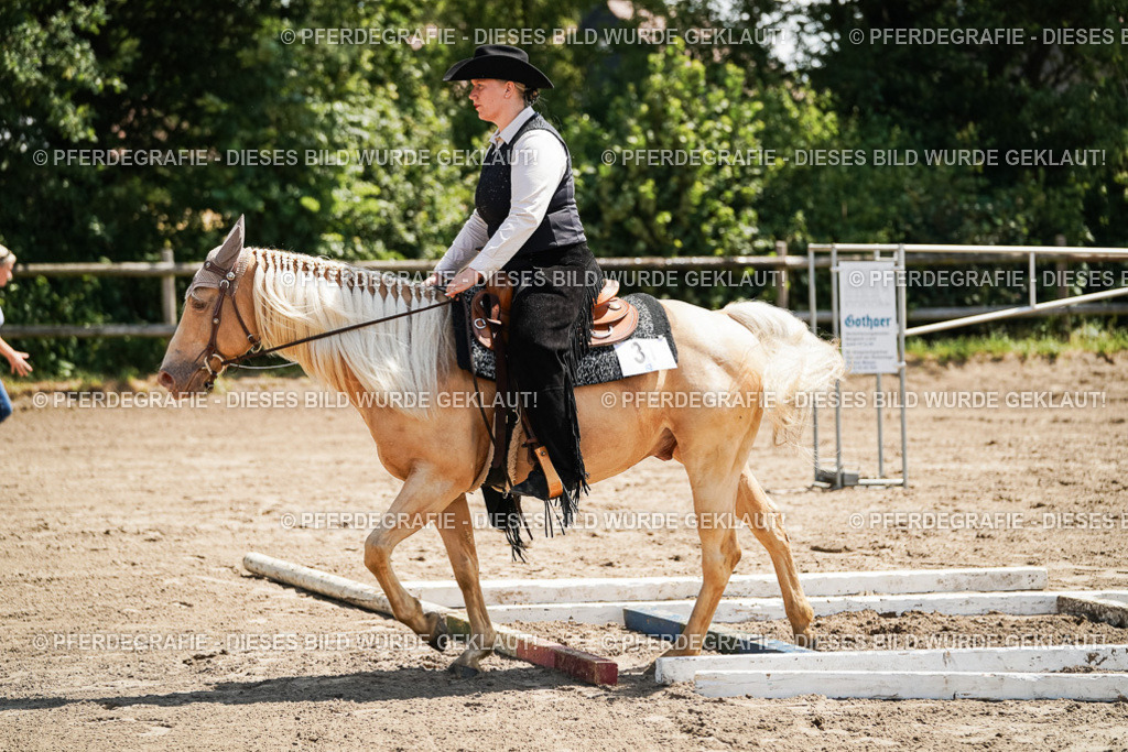 DSC06873 | Pferdegrafie