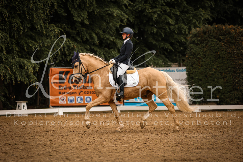 DoDrA200352 | Leoni Ertmer Photography - Realisiert mit Pictrs.com