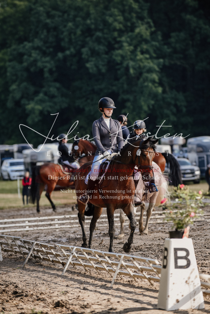 DSC_8371 | Pferde- und Turnierfotografie in Westsachsen. Pferdeportraits, Auftragszeichnungen und intuitive Kunst.