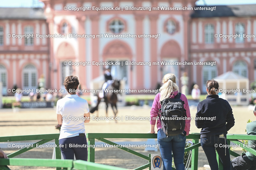 D78_3416 | equistock