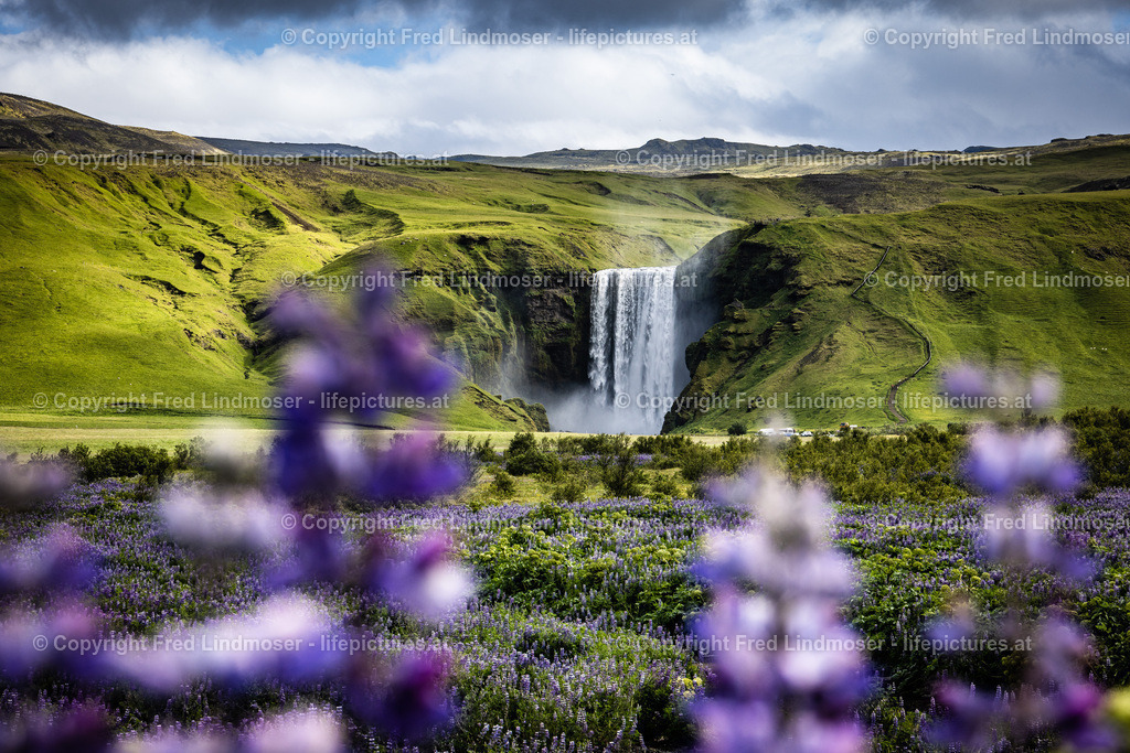 Island Juni 2022-0503 | Fotos und Fotoprodukte - Realisiert mit Pictrs.com