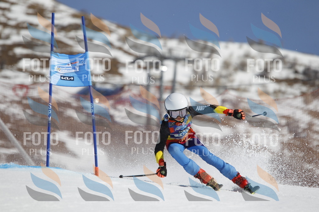 _U3G0308 | holidayphoto