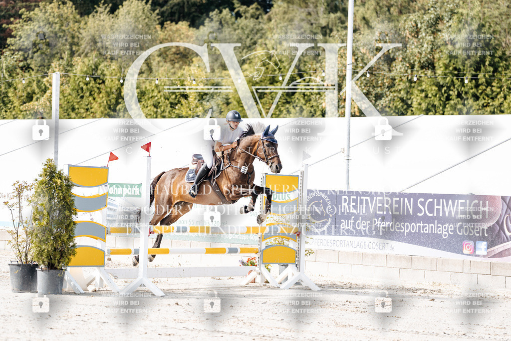 CK905449 | Turnierfotografie Pferdefotografie Trier Rheinland-Pfalz Pferdesport Reitsport Tierfotografie Sportfotografie Pferdevideo Pferdevideografie Equestrianvideography equestrianphotography  - Realisiert mit Pictrs.com