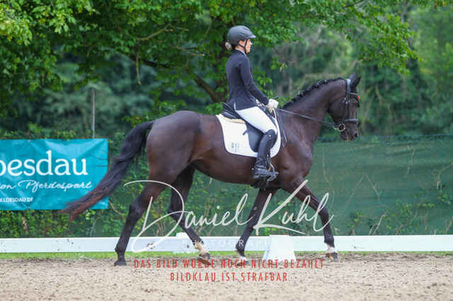 DKP40433 | Turniersportfotografie; Pferdefotografie; Dressurfotografie