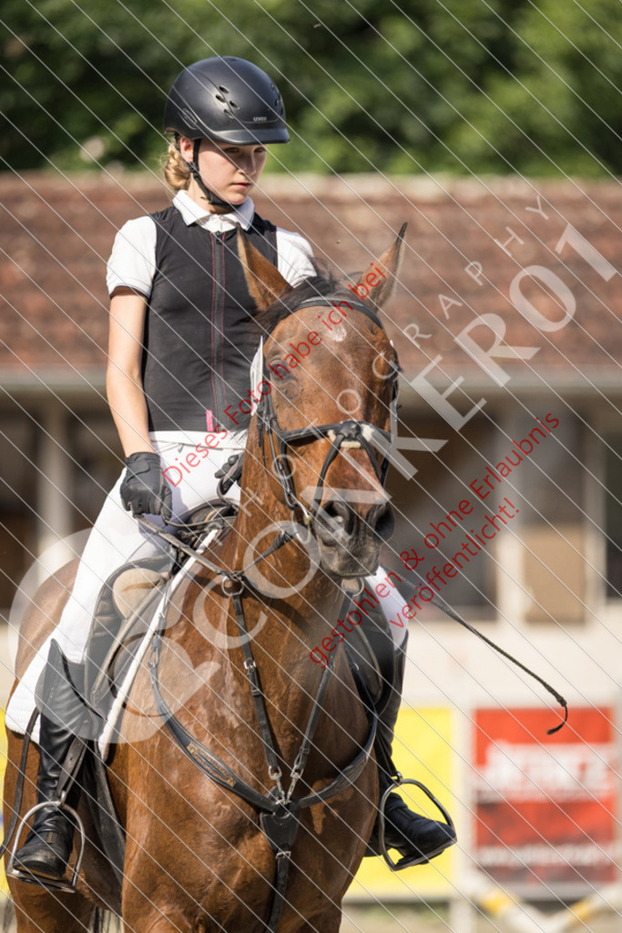 IMG_5982 | Sport-, Event- und Tierfotos in Profiqualität. Einfach auswählen, bestellen und herunterladen. Dein Moment – perfekt festgehalten.
