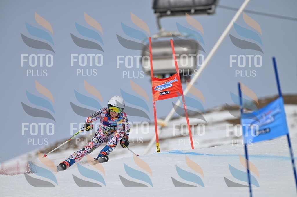 BGV_4968 | holidayphoto