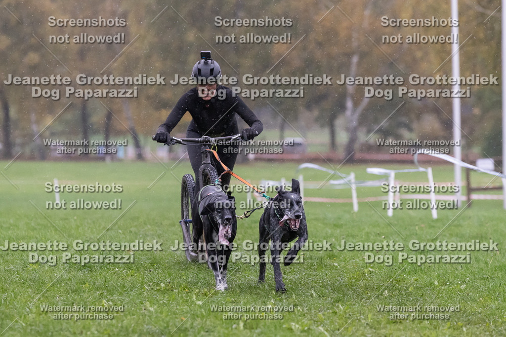 Dog Paparazzi - SD CaniX Championship 2025-877 | Dog Paparazzi Jeanette Grottendiek Fotografie & Videografie - Realisiert mit Pictrs.com