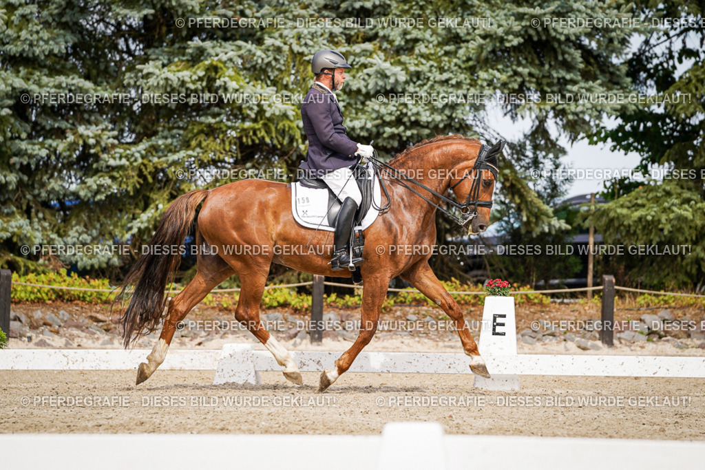 DSC05625 | Pferdegrafie