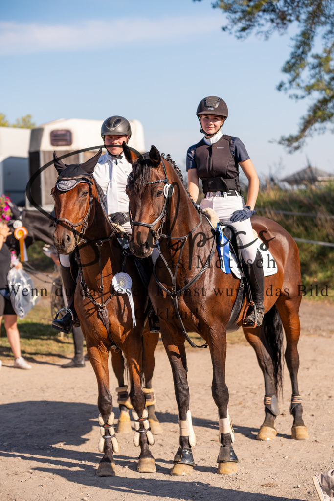 A7V02657 | Pferdefotograf