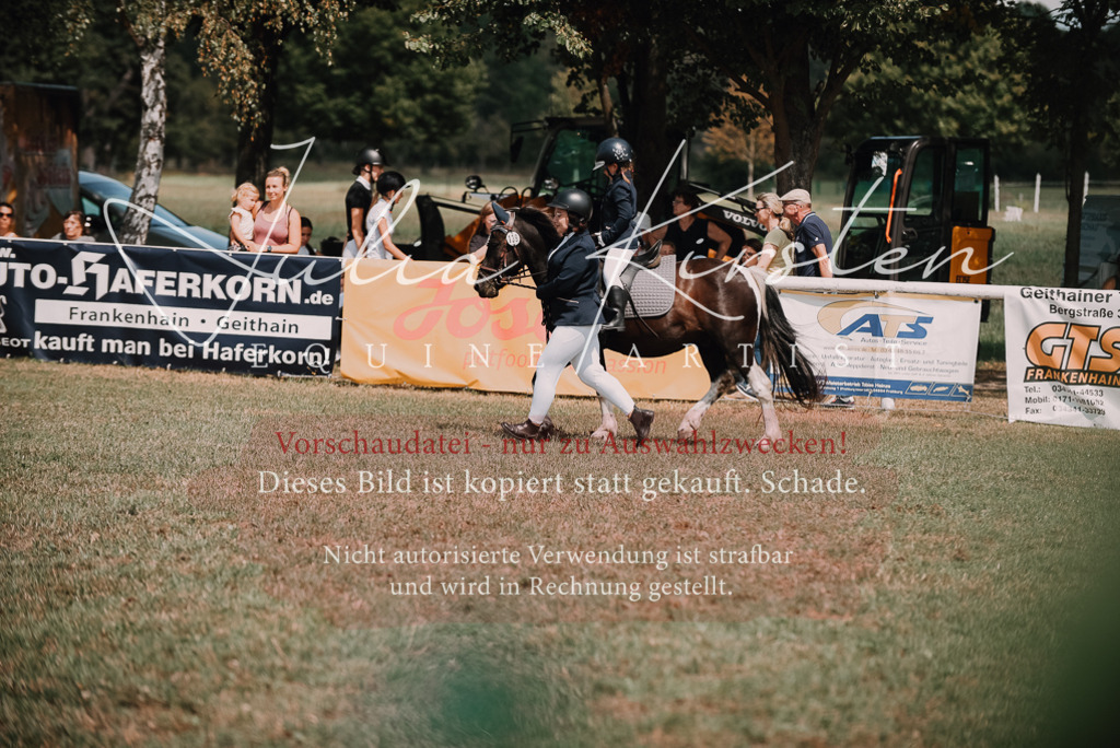 DSC_6006 | Pferde- und Turnierfotografie in Westsachsen. Pferdeportraits, Auftragszeichnungen und intuitive Kunst.