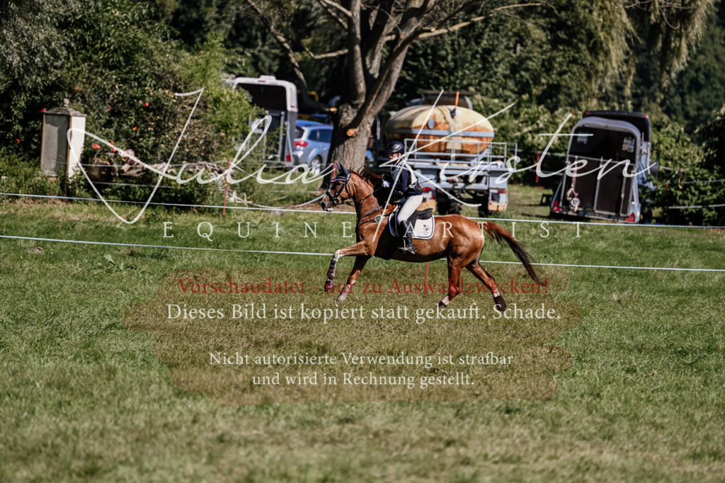 DSC_1655 | Pferde- und Turnierfotografie in Westsachsen. Pferdeportraits, Auftragszeichnungen und intuitive Kunst.