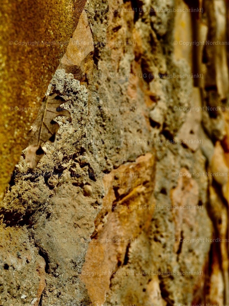 IMG_2875 | OLYMPUS DIGITAL CAMERA          - Realisiert mit Pictrs.com