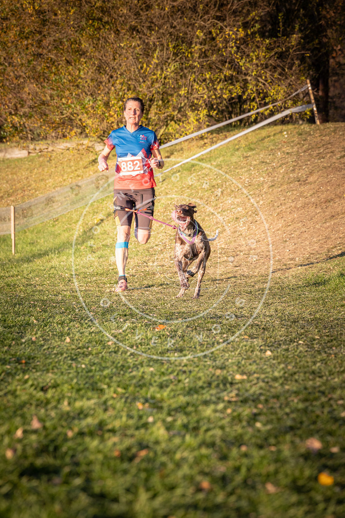 CaniXpix_0L8A1168 | Hundefotografie, Tierfotograf, Pfotenfotografie, Fotoshooting Hund, Hunde Portrait, Hundesport, Hundeportraits, Heideshooting, Hunde, Sportfotograf, Hundefotograf, Turnierhundsport, THS,  - Realisiert mit Pictrs.com