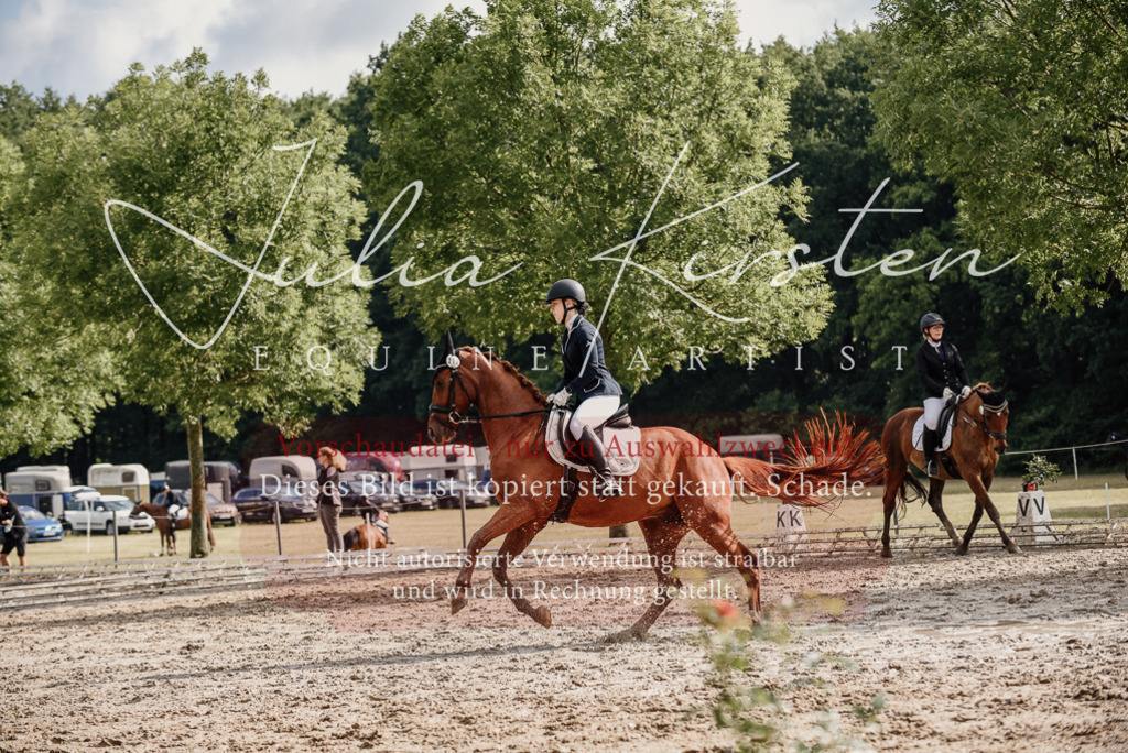 DSC_8924 | Pferde- und Turnierfotografie in Westsachsen. Pferdeportraits, Auftragszeichnungen und intuitive Kunst.