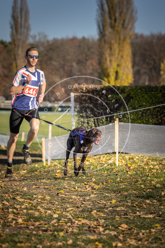 CaniXpix_DV3A0421 | Hundefotografie, Tierfotograf, Pfotenfotografie, Fotoshooting Hund, Hunde Portrait, Hundesport, Hundeportraits, Heideshooting, Hunde, Sportfotograf, Hundefotograf, Turnierhundsport, THS,  - Realisiert mit Pictrs.com