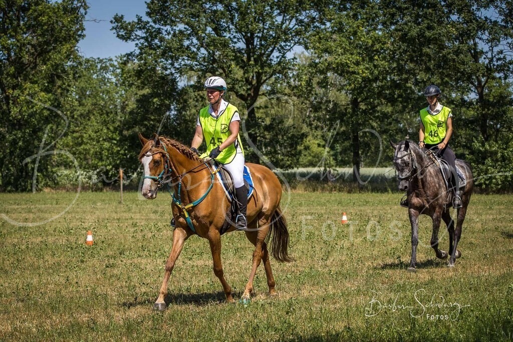 CJP_2026-06-26_56 | Stimmungsvolle Fotografie von Pferden, fotografische Begleitung von Veranstaltungen, Golfturnieren und Distanzritten - Realisiert mit Pictrs.com