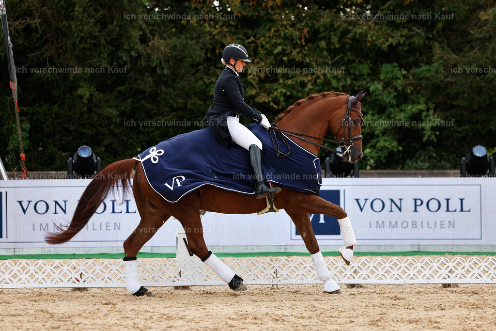 10-Siegerehrung-ST.GEORG SPECIAL -StoibPH-3298 | working equitationturnier fotograf videograf stoibphotography marixx film working equitation deutschland reitsport turnierfotografie eventfotografie equestrian events