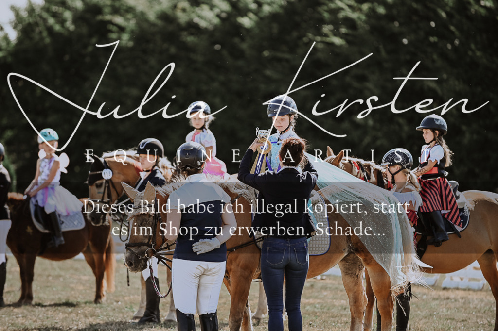 DSC_9066 | Pferde- und Turnierfotografie in Westsachsen. Pferdeportraits, Auftragszeichnungen und intuitive Kunst.