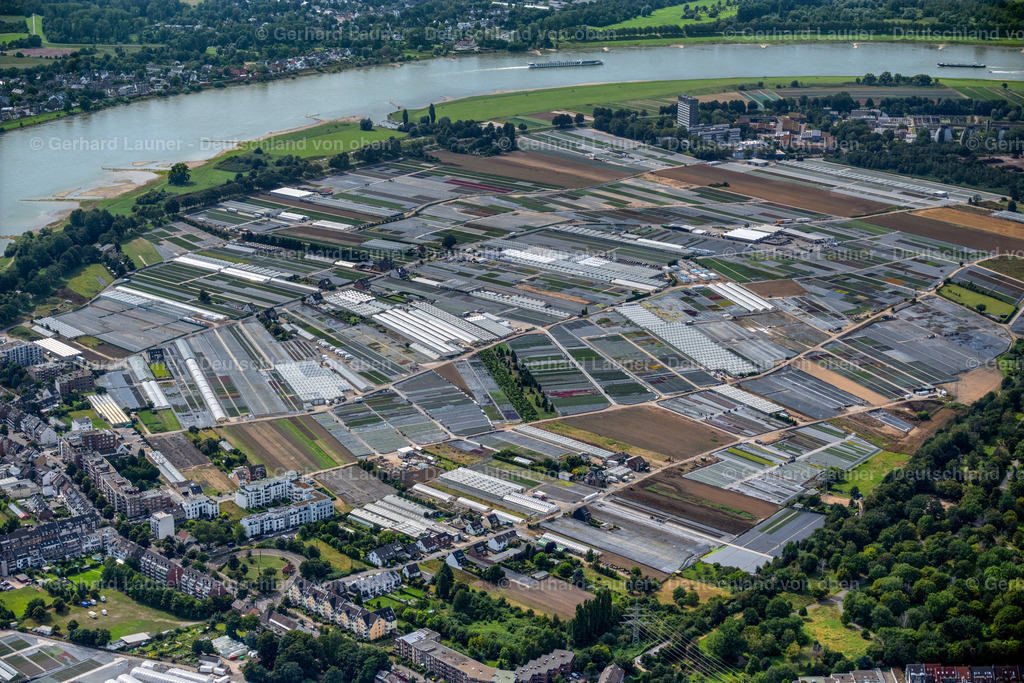 4049249 | Gartenbaubetriebe in Volmerswerth, Düsseldorf