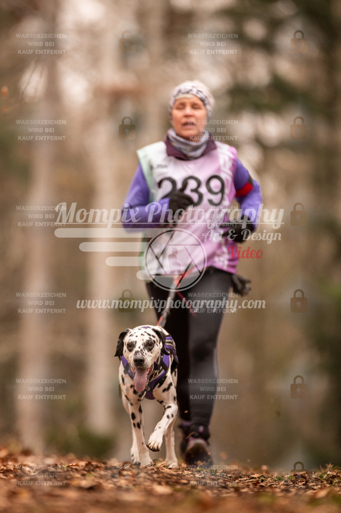 AKM_ST_2023_SAM_Run-122 | PayLife