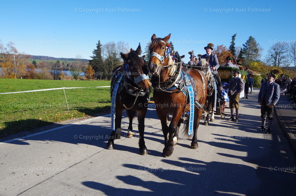 IMGP8053 | fotografiert von Axel PollmannLeonhardi Wallfahrt Benediktbeuern und Murnau, Fronleichnam, Fasching, Landschaft im Loisachtal und Benediktbeuern  - Realisiert mit Pictrs.com