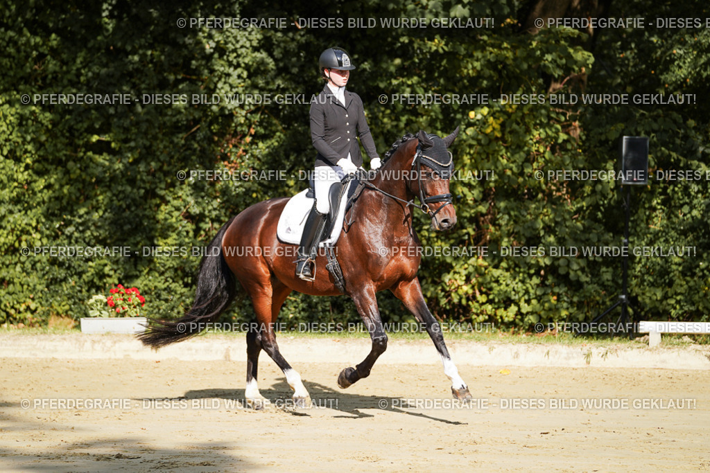 DSC08028 | Pferdegrafie