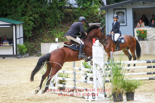 DKP40241 | Turniersportfotografie; Pferdefotografie; Dressurfotografie