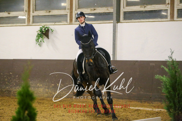 IMG_8394 | Turniersportfotografie; Pferdefotografie; Dressurfotografie