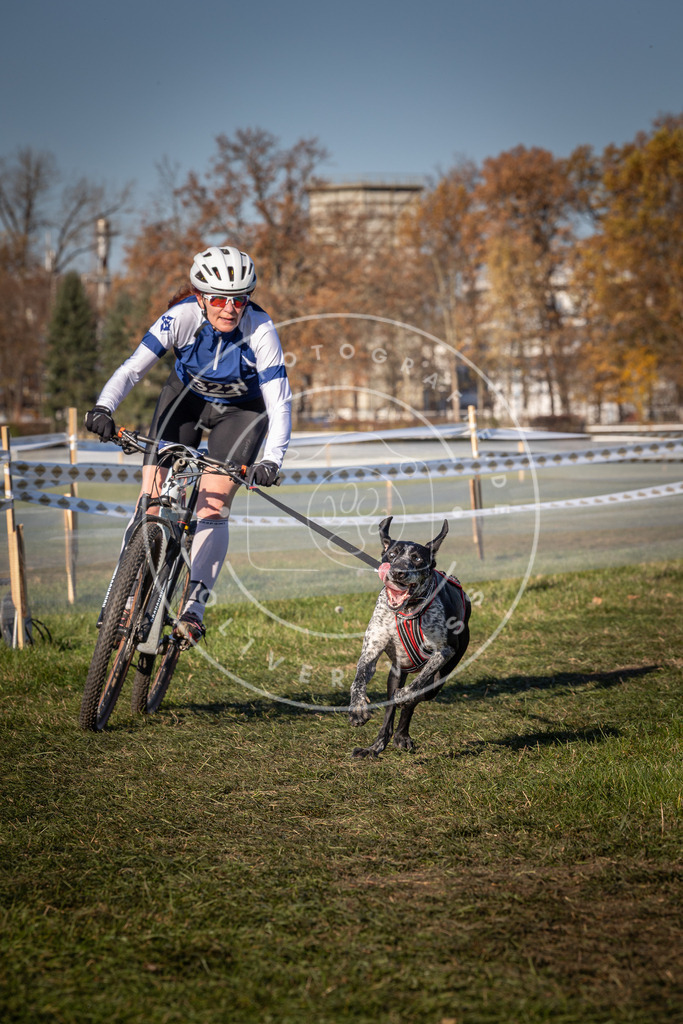 CaniXpix_0L8A5696 | Hundefotografie, Tierfotograf, Pfotenfotografie, Fotoshooting Hund, Hunde Portrait, Hundesport, Hundeportraits, Heideshooting, Hunde, Sportfotograf, Hundefotograf, Turnierhundsport, THS,  - Realisiert mit Pictrs.com