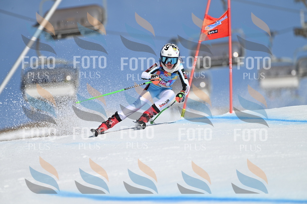 BGV_8637 | holidayphoto