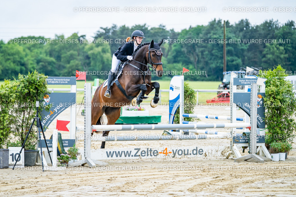 DSC01137 | Pferdegrafie