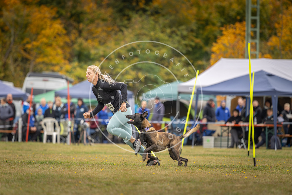 Pfotenfotografie_DV3A3967 | Hundefotografie, Tierfotograf, Pfotenfotografie, Fotoshooting Hund, Hunde Portrait, Hundesport, Hundeportraits, Heideshooting, Hunde, Sportfotograf, Hundefotograf, Turnierhundsport, THS,  - Realisiert mit Pictrs.com