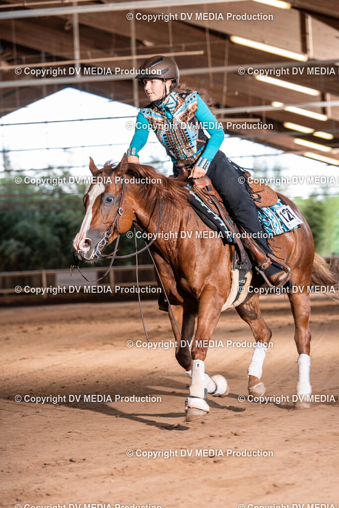 Erbach Tag 2-941 | dv-media-shop - Realisiert mit Pictrs.com