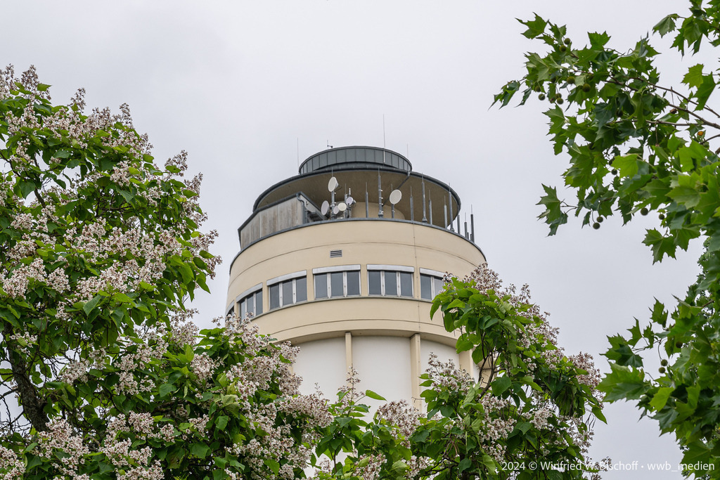 454_DSC_6911 | <Fotografie> <Video> <Film> <Winfried Bischoff> - Realisiert mit Pictrs.com