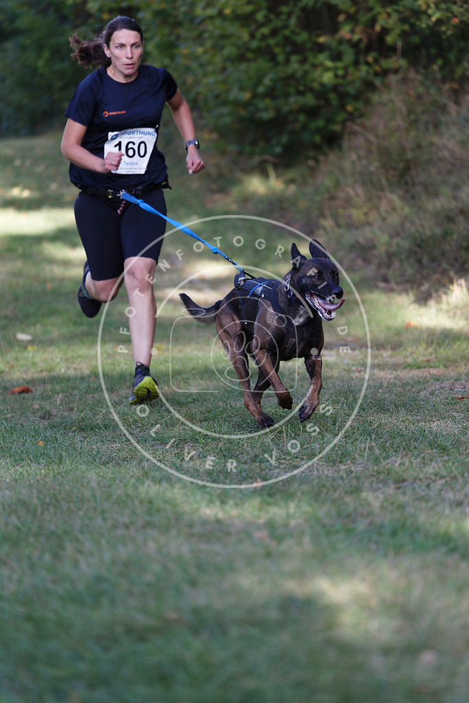 0L8A5278 | Hundefotografie, Tierfotograf, Pfotenfotografie, Fotoshooting Hund, Hunde Portrait, Hundesport, Hundeportraits, Heideshooting, Hunde, Sportfotograf, Hundefotograf, Turnierhundsport, THS,  - Realisiert mit Pictrs.com