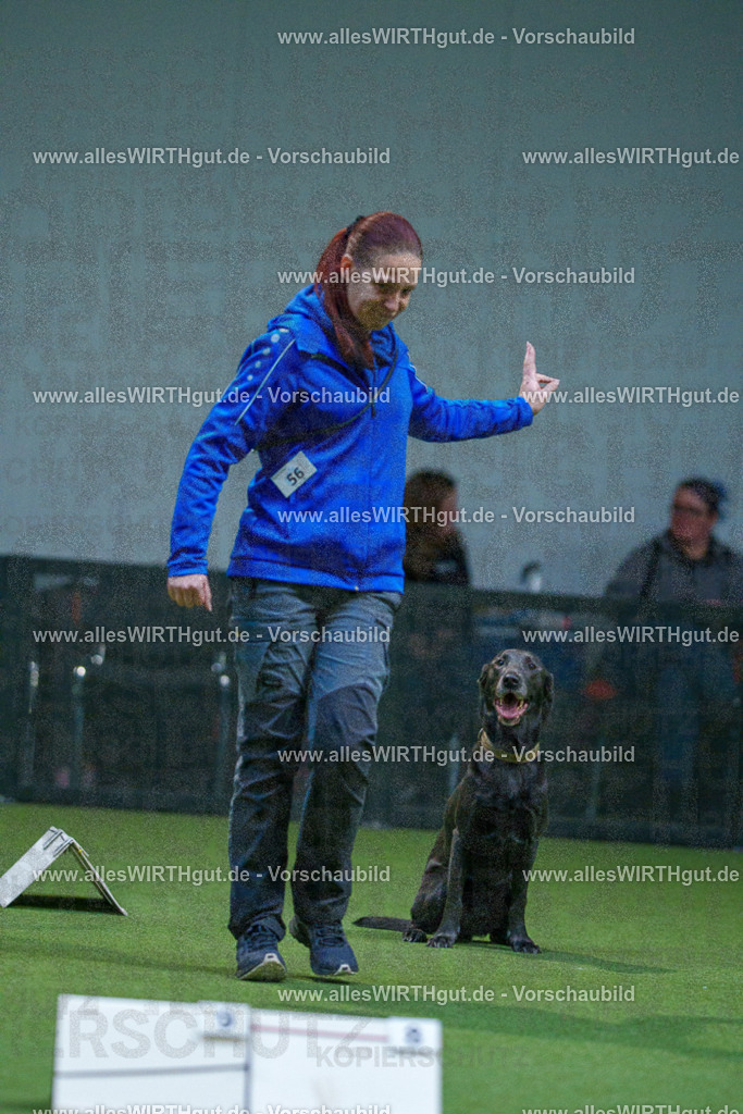 7R502453 | Professionelle Tierfotografie in Mönchengladbach von Daniel Wirth (allesWIRTHgut). Liebevolle & natürliche Bilder von Hunden & Katzen für unvergessliche Erinnerungen.