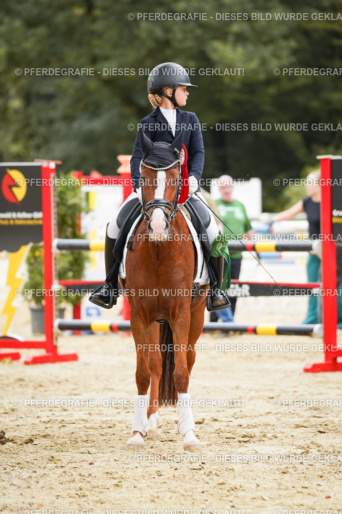 DSC06189 | Pferdegrafie