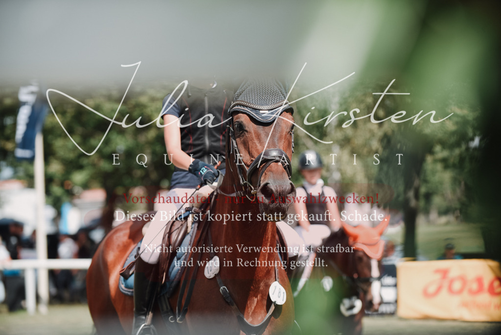 DSC_5704 | Pferde- und Turnierfotografie in Westsachsen. Pferdeportraits, Auftragszeichnungen und intuitive Kunst.