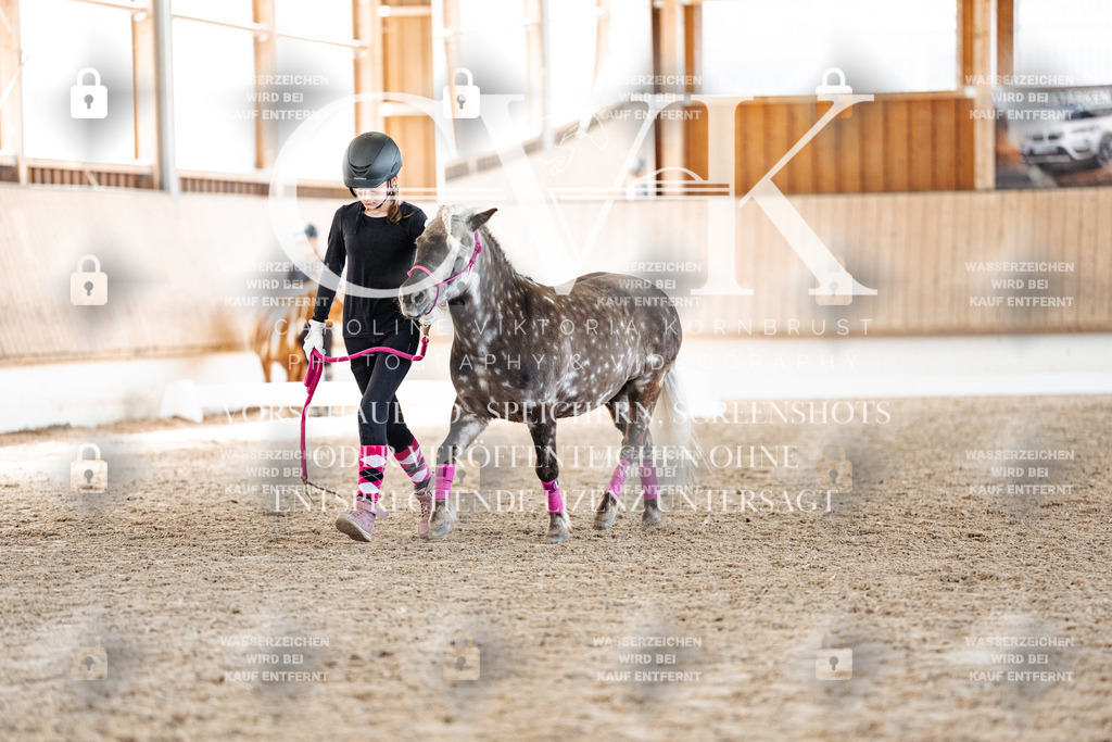 CK907032 | Turnierfotografie Pferdefotografie Trier Rheinland-Pfalz Pferdesport Reitsport Tierfotografie Sportfotografie Pferdevideo Pferdevideografie Equestrianvideography equestrianphotography  - Realisiert mit Pictrs.com
