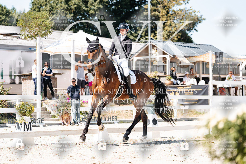 CK909816 | Turnierfotografie Pferdefotografie Trier Rheinland-Pfalz Pferdesport Reitsport Tierfotografie Sportfotografie Pferdevideo Pferdevideografie Equestrianvideography equestrianphotography  - Realisiert mit Pictrs.com
