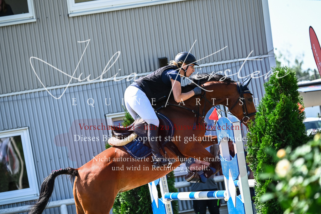 DSC_1421 | Pferde- und Turnierfotografie in Westsachsen. Pferdeportraits, Auftragszeichnungen und intuitive Kunst.