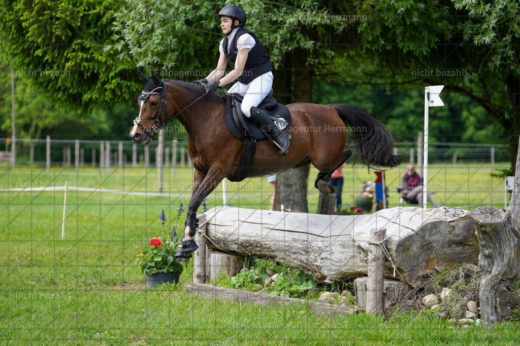 20240518-FAH03793 | Turnierbilder von Niederseon, Turnierfotografen Bayern, Fotoagentur Herrmann, Geländebilder, Reitsportfotografie