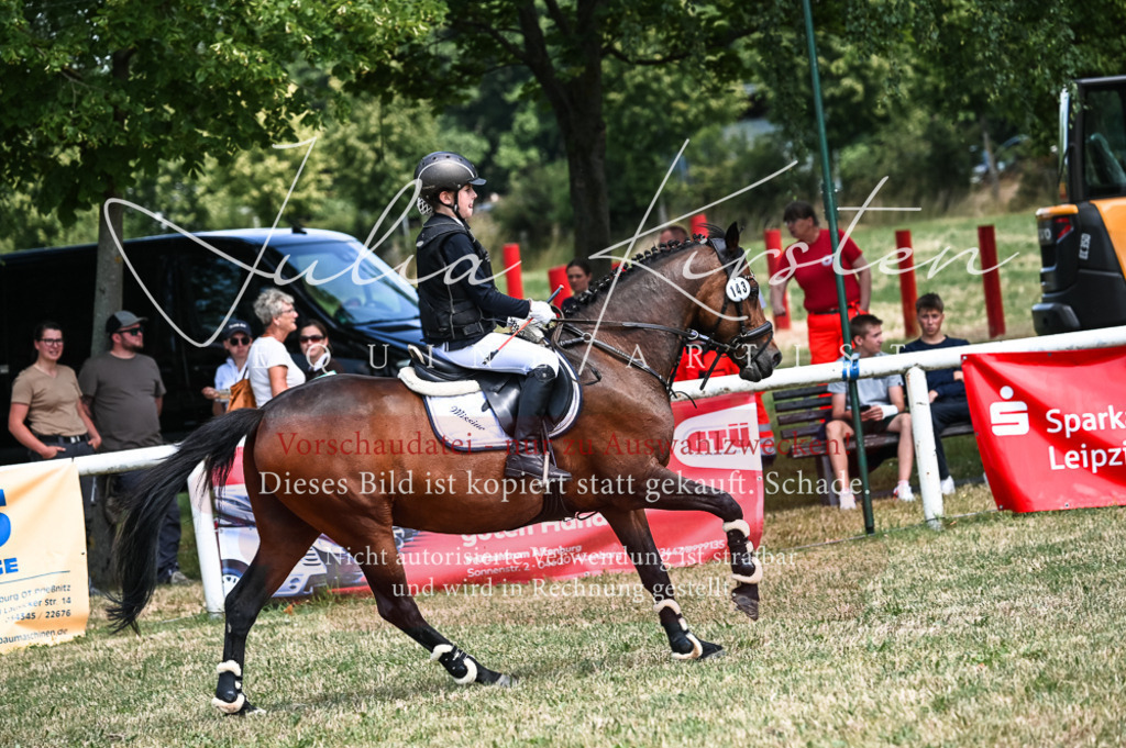 DSC_9654 | Pferde- und Turnierfotografie in Westsachsen. Pferdeportraits, Auftragszeichnungen und intuitive Kunst.
