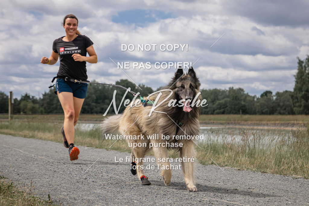 nelerasche_BuHu2026_SaCC1100-1200_216 | nelerasche
