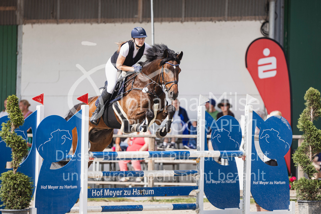 250629_PfSpTa_Stil-L2-329 | Deine schönsten Turniermomente als professionelle Fotos! Entdecke hochwertige Pferdesport-Fotografie im Online-Shop. Jetzt Fotos finden & bestellen!
