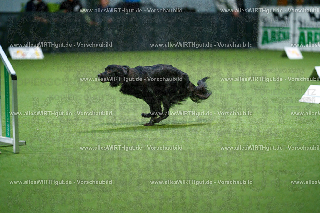 7R509979 | Professionelle Tierfotografie in Mönchengladbach von Daniel Wirth (allesWIRTHgut). Liebevolle & natürliche Bilder von Hunden & Katzen für unvergessliche Erinnerungen.